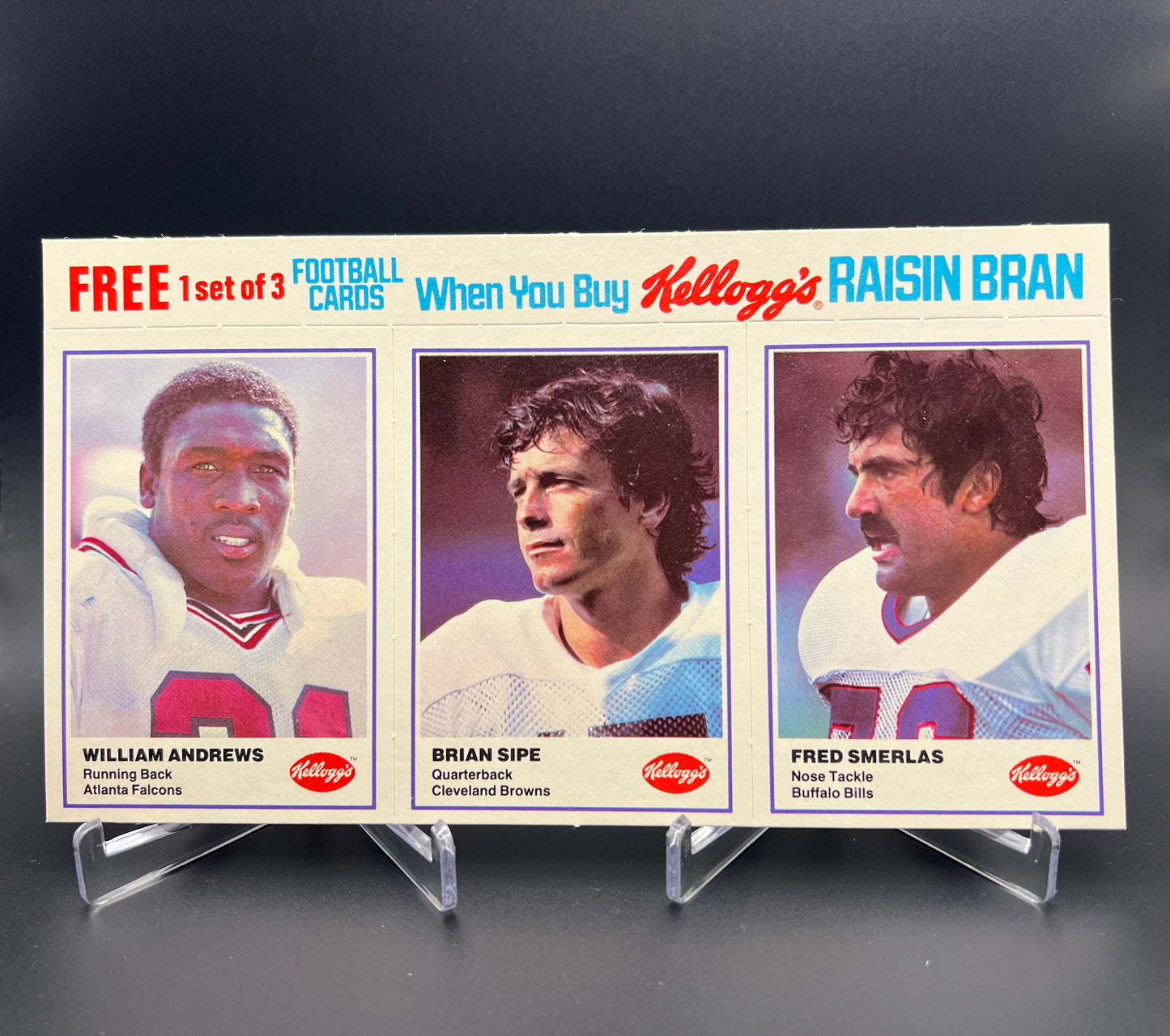 1982 Kellogg's Raisin Bran - NFL Football Set Of Complete Panels